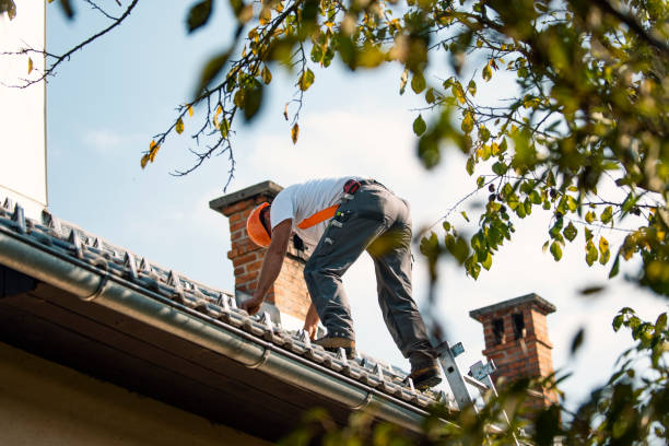 Best Residential Roofing Contractor  in Stockbridge, MI