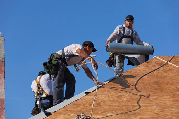 Best Best Roofing Contractors  in Stockbridge, MI