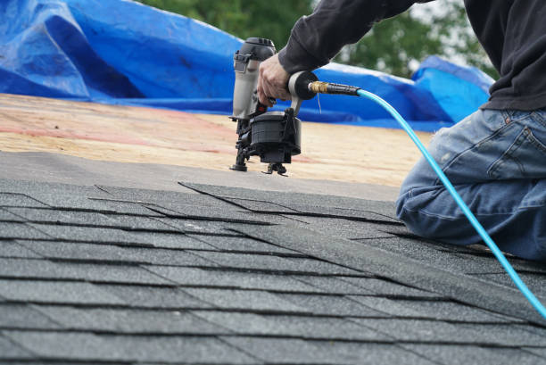 Best Roof Maintenance Services  in Stockbridge, MI